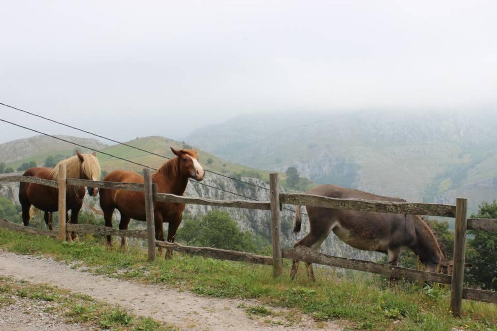 Los Pradones San Roque de Riomiera Екстер'єр фото